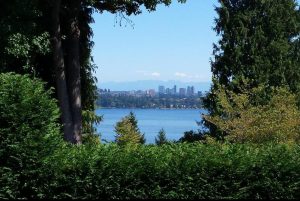 Framing-the-view,-Lake-Washington-Blvd_2017124_75755