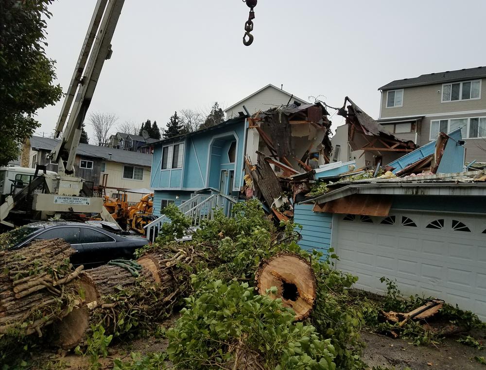 Tree-destroys-home_2019117_81717