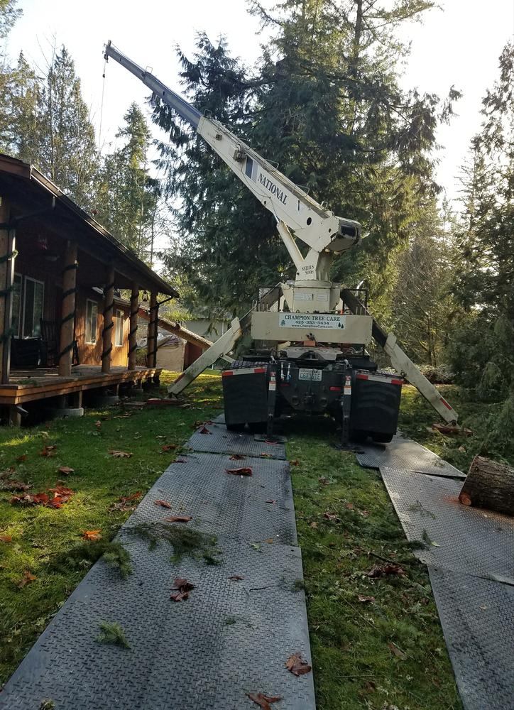 Using-crane-to-remove-tree-from-house_2019118_84441