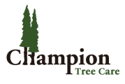 Champion Tree Care